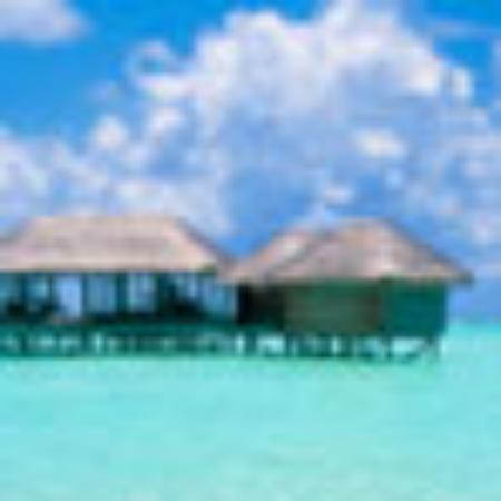 Famous House Won Seolnong Stew